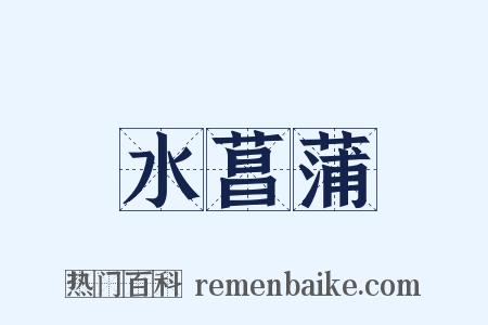 水菖蒲是什么意思的图片